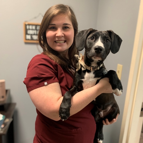 Dr. deMey | Leesville Animal Hospital